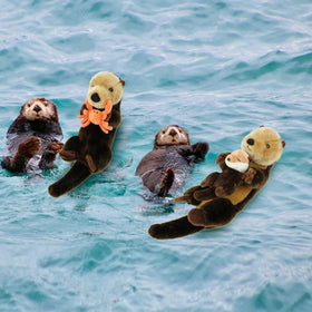 Hideekoog Sea Otter plush holding cub plush for nurturing scenes.
