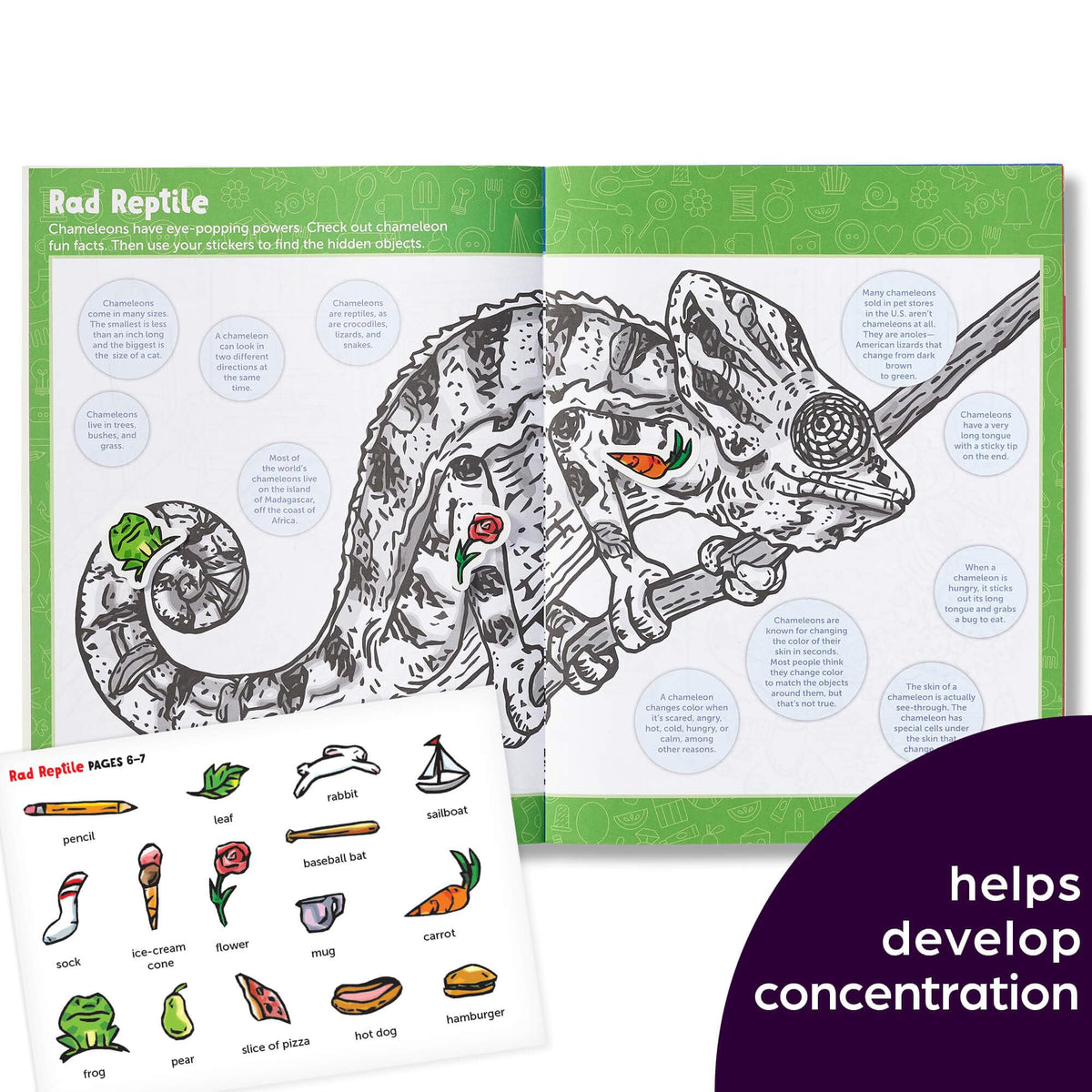 Highlights for Children Hidden Pictures Sticker Challenge seek-and-find scene promotes problem solving.
