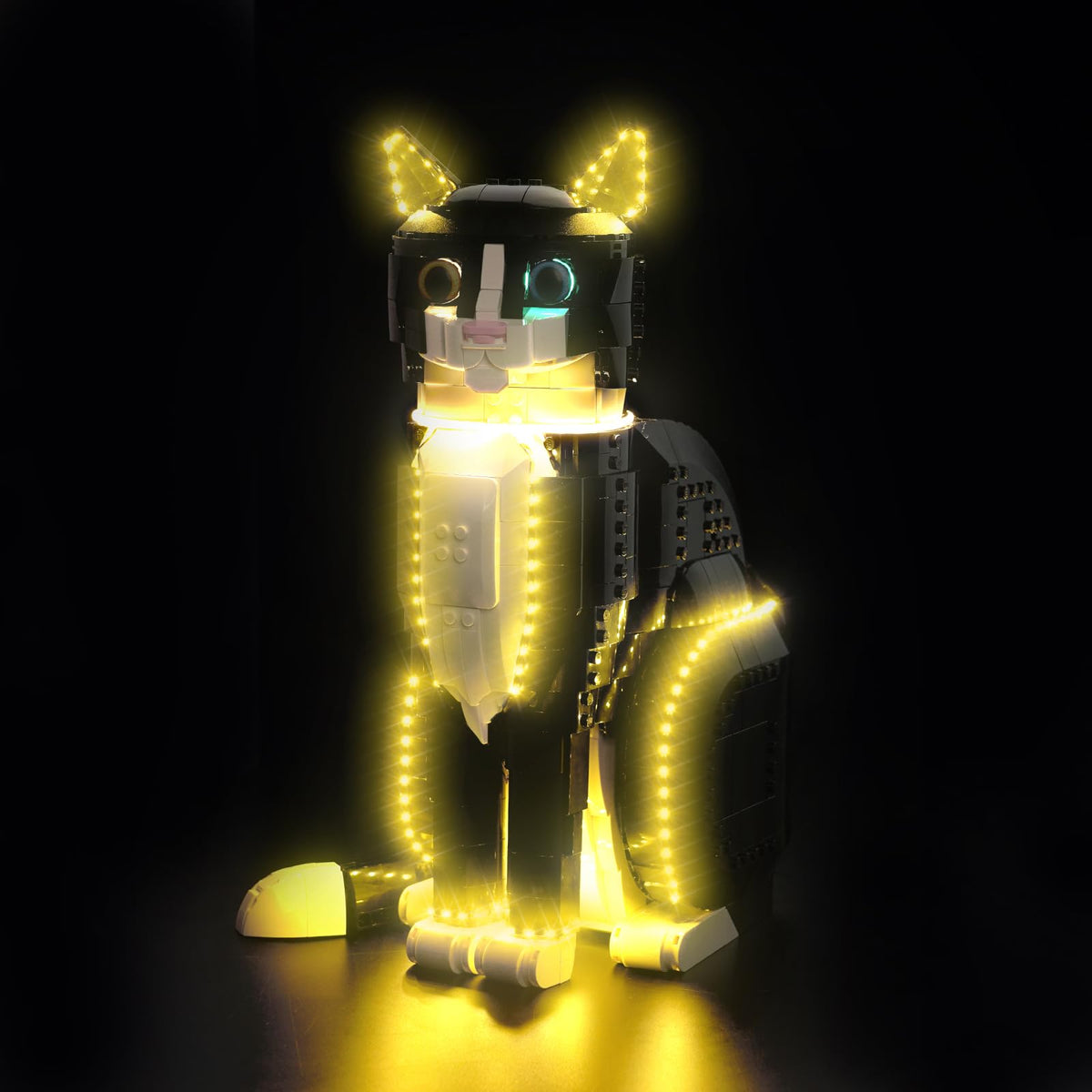 Hilighting LED light kit USB connection brightens the LEGO Tuxedo Cat build