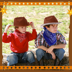 Hillban cowboy hat edge warped design in brown, classic western style