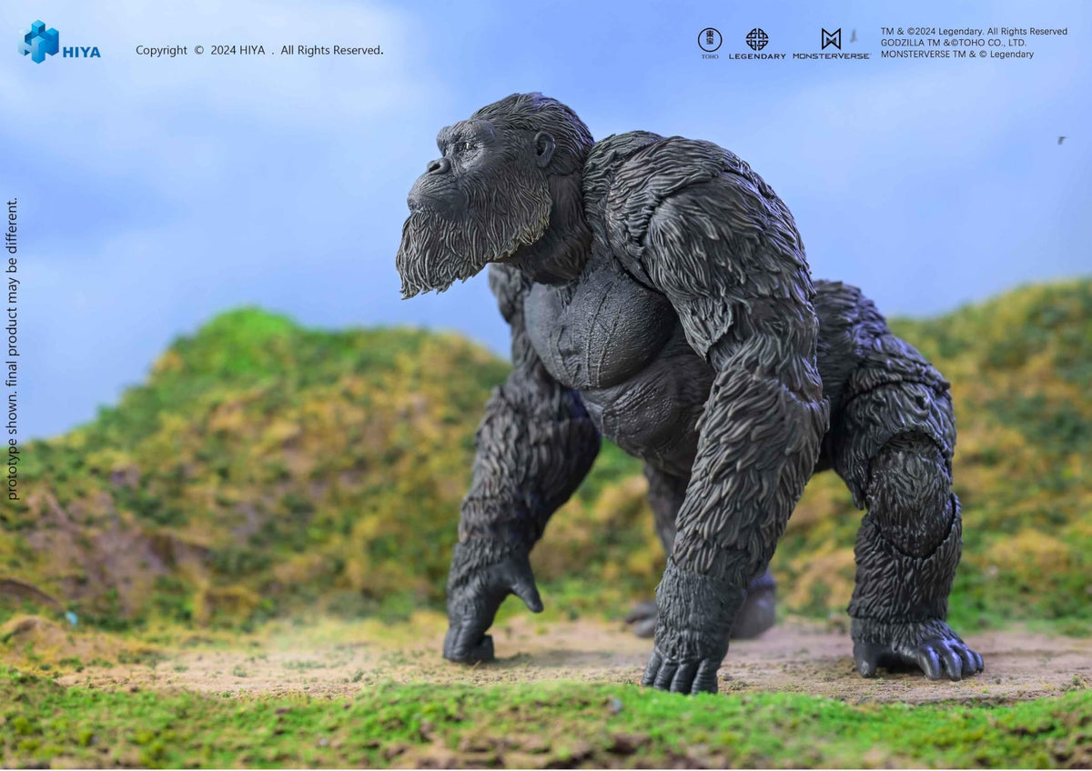 Hiya Toys Godzilla x Kong Kong Basic Exquisite figure offers pose-ready display