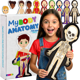 HMmagnets MyBody skeleton base shown for sturdy upfront anatomy learning