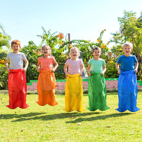 Hogarjal party carnival collection for instant yard fun and engagement.