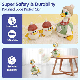 HOLA battery setup details for mama and baby duck are easy to follow