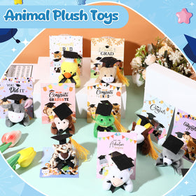 Hollowfly graduation party favors brighten celebrations and memories.