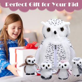Hollowfly owl plush set packaging shows a gift-ready design