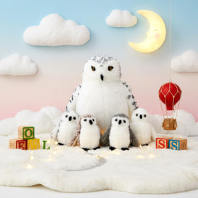 Gift-set packaging of Hollowfly snowy owls plush set