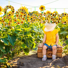 Hollowfly sunflower decor ideas for celebrations and classrooms