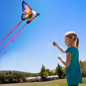 Honbo butterfly kite compact carry bag ready for travel