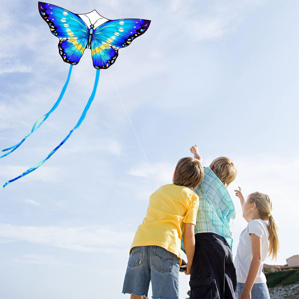 Honbo butterfly kite family on a beach outing enjoying kite flying