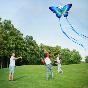 Honbo butterfly kite in flight against a clear sky for outdoor fun