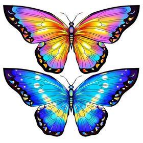 Honbo butterfly kite setup in minutes for easy assembly and quick play