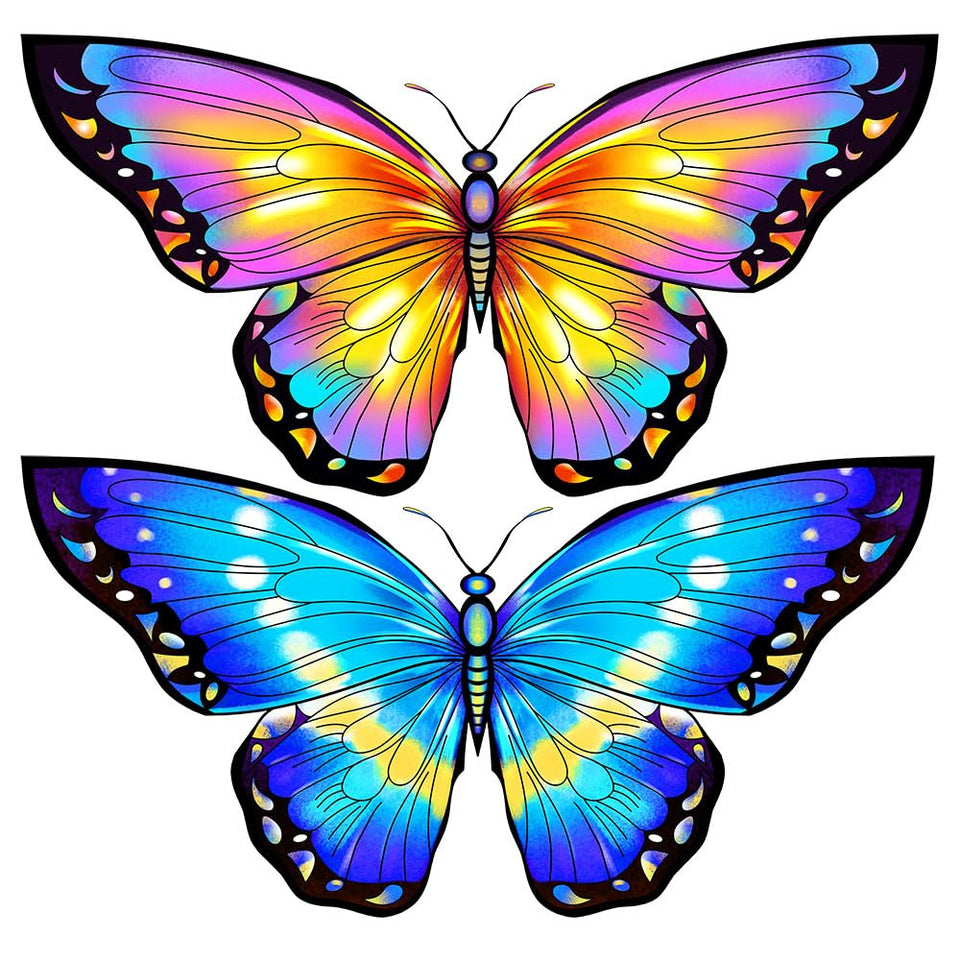 Honbo butterfly kite setup in minutes for easy assembly and quick play