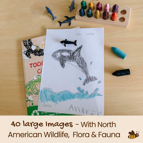 Honey-scented Honeysticks crayons enhance sensory exploration during play.