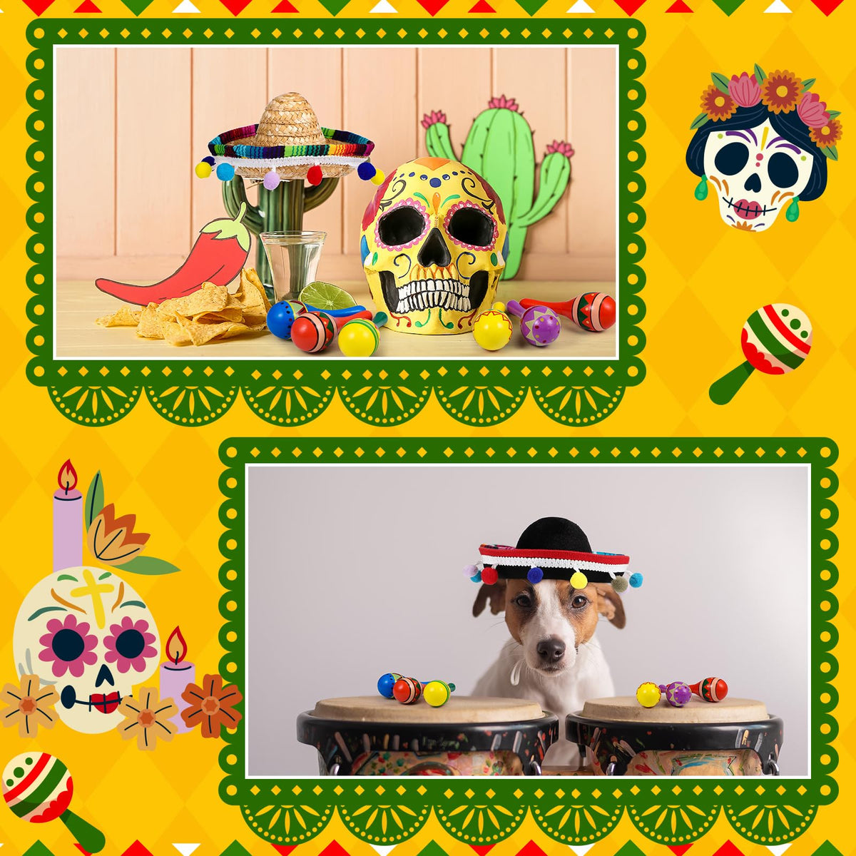 Honoson fiesta decor set assembled for festive photo backdrop.