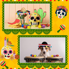 Honoson fiesta decor set assembled for festive photo backdrop.
