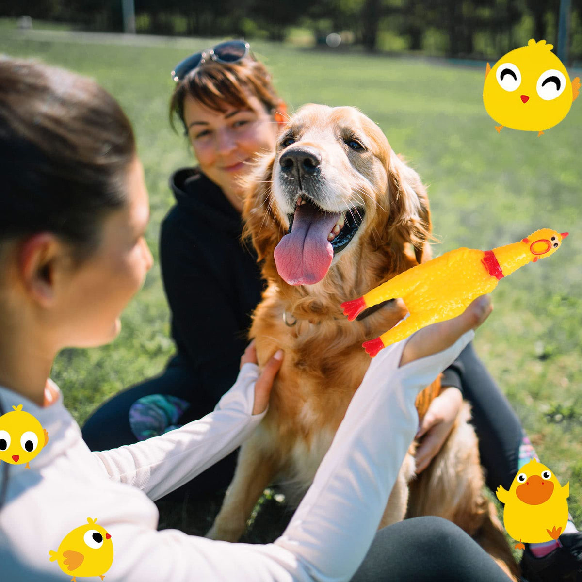 Honoson giftable chicken toy brings laughter for kids, adults, and pets.