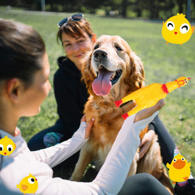 Honoson giftable chicken toy brings laughter for kids, adults, and pets.