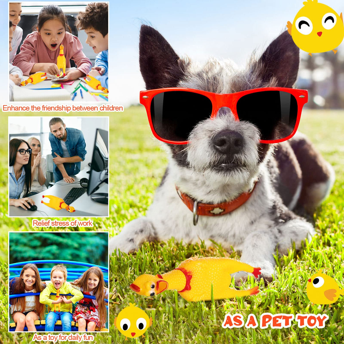 Honoson supervised-play warning explains safety while pets chew.