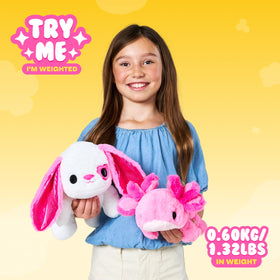 Hug-A-Lumps Love Valentine’s design plush for birthdays and celebrations.