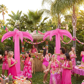 Hungdao pink palm tree suitable for indoor or outdoor tropical ambiance.