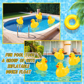 Hungdao ducks create cheerful backdrops for summer parties
