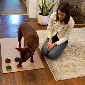 Hunger For Words four-buttons set includes activity guide for structured learning.
