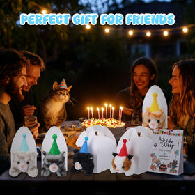 HyDren pet adoption party set with cards and displays