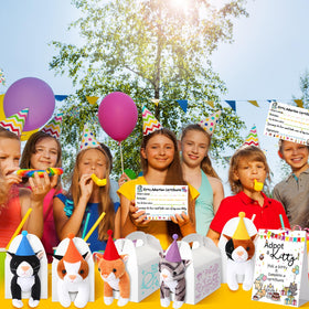 HyDren cat birthday hats eight colors add festive flair to parties