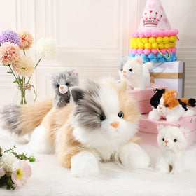 HyDren plush ragdoll cat in soft fabric, safe hugs.