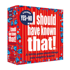 Hygge Games I Should Have Known That Yes Yes No cards for family friendly party fun