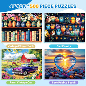 HYXCHQA owl night scene puzzle relaxing with friends