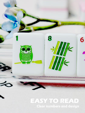 HYZYey gift ready Mahjong set ideal for beginners.