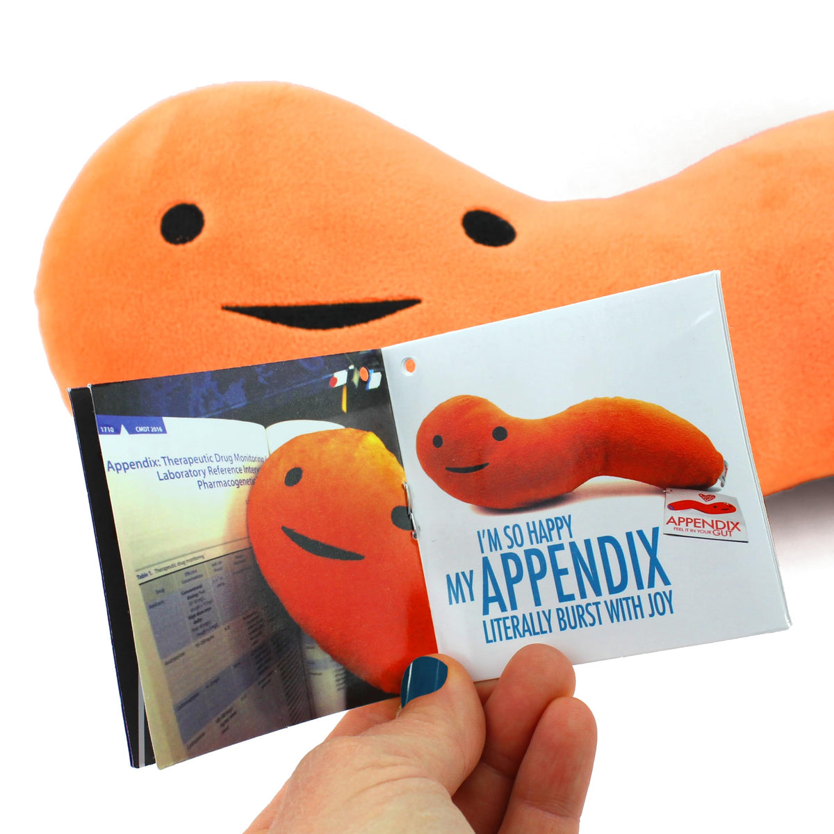 I Heart Guts Appendix Plush close-up, highlighting embroidered details and a soft texture.