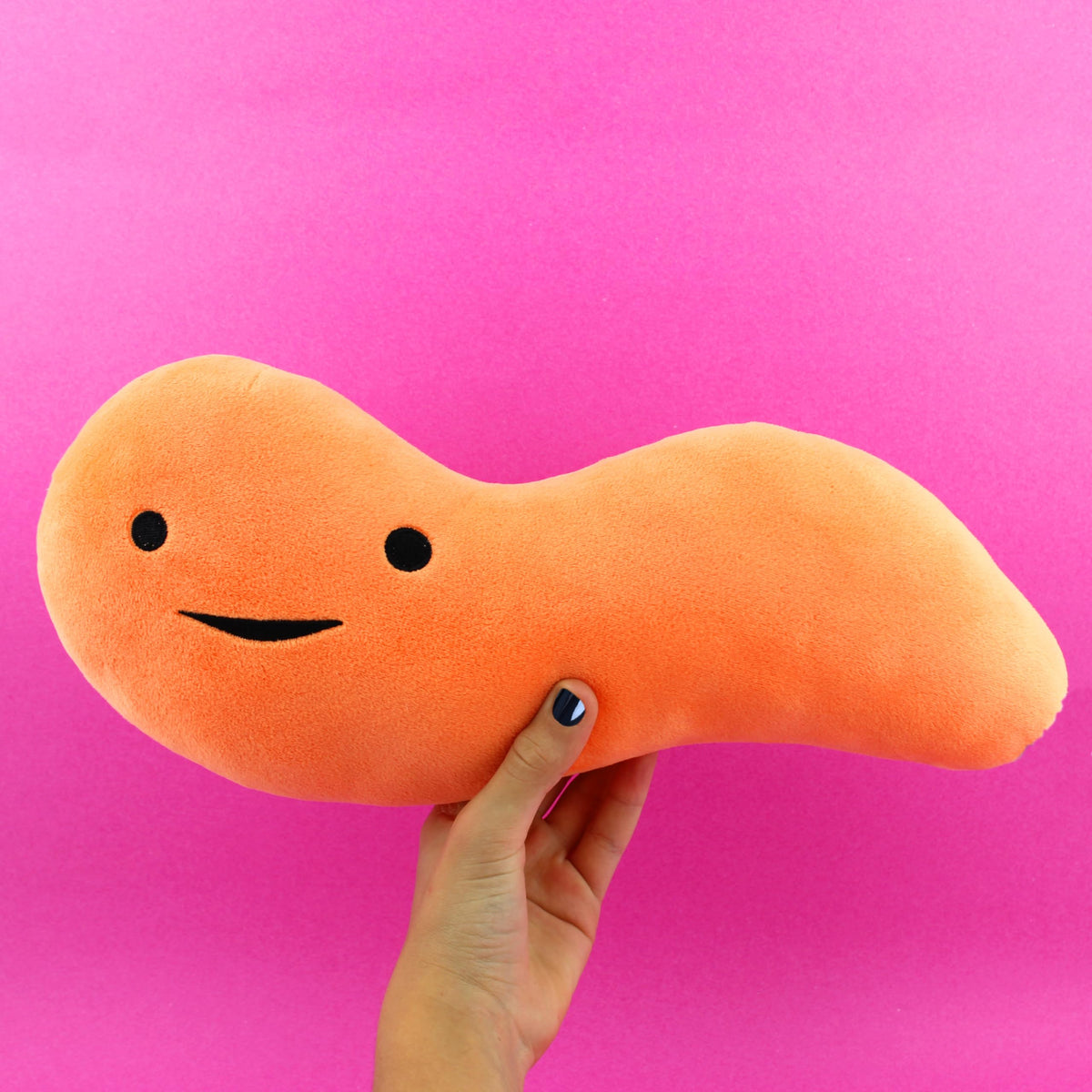 I Heart Guts Appendix Plush with educational booklet, adds awareness and engaged learning.