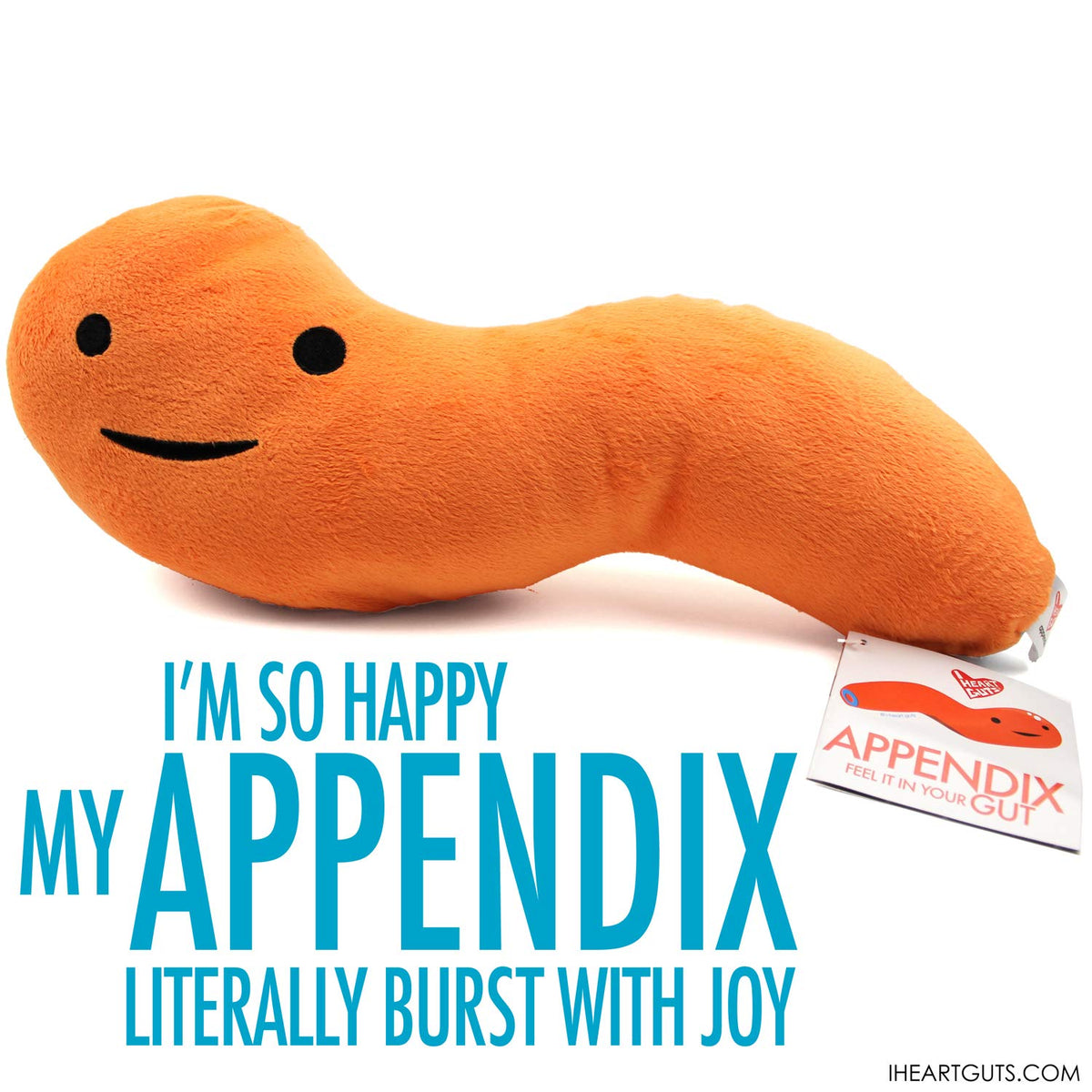 I Heart Guts Appendix Plush size ten-point-five inches, compact desk buddy for offices.