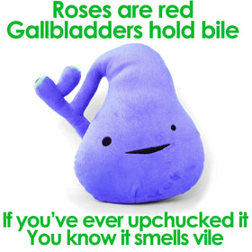 I Heart Guts gallbladder plush packaging showcases a gift-ready educational charm.