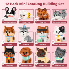 IBLOTIME clear instruction sheet guides a calm, creative build session.