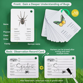 ibwaae Bug Catcher Kit tweezers enable gentle handling of small specimens.