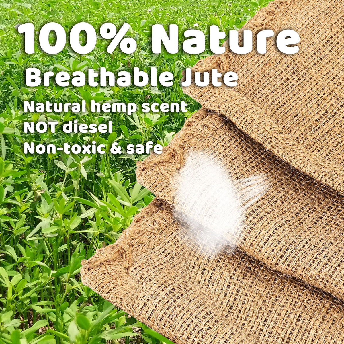 IceFun sacks used for an outdoor family reunion activity