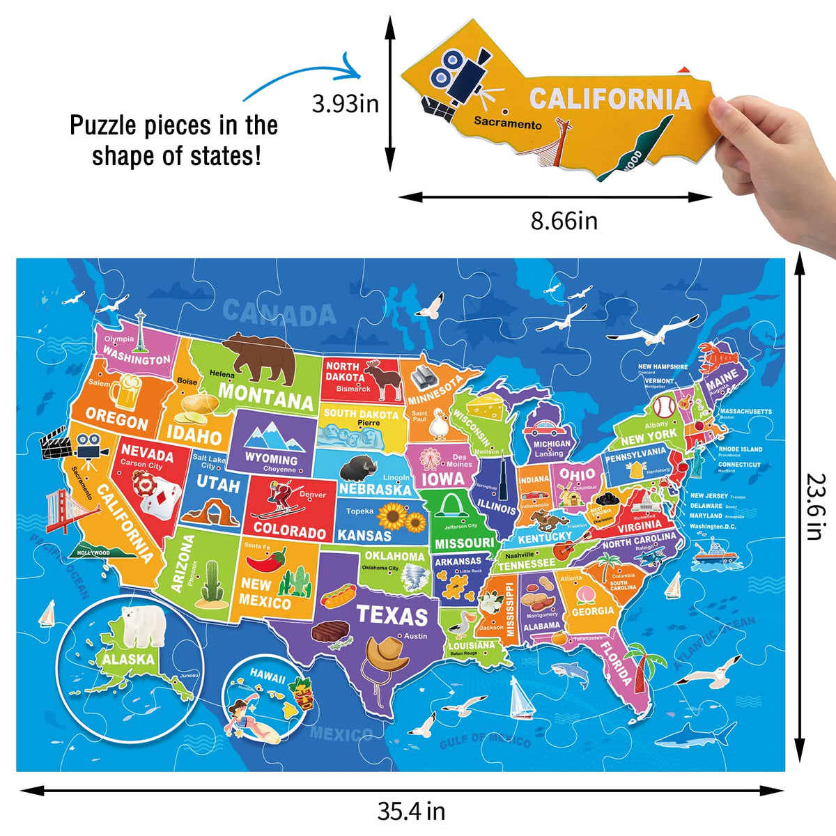 IFLOVE USA map capitals detail aids early learning and color recognition