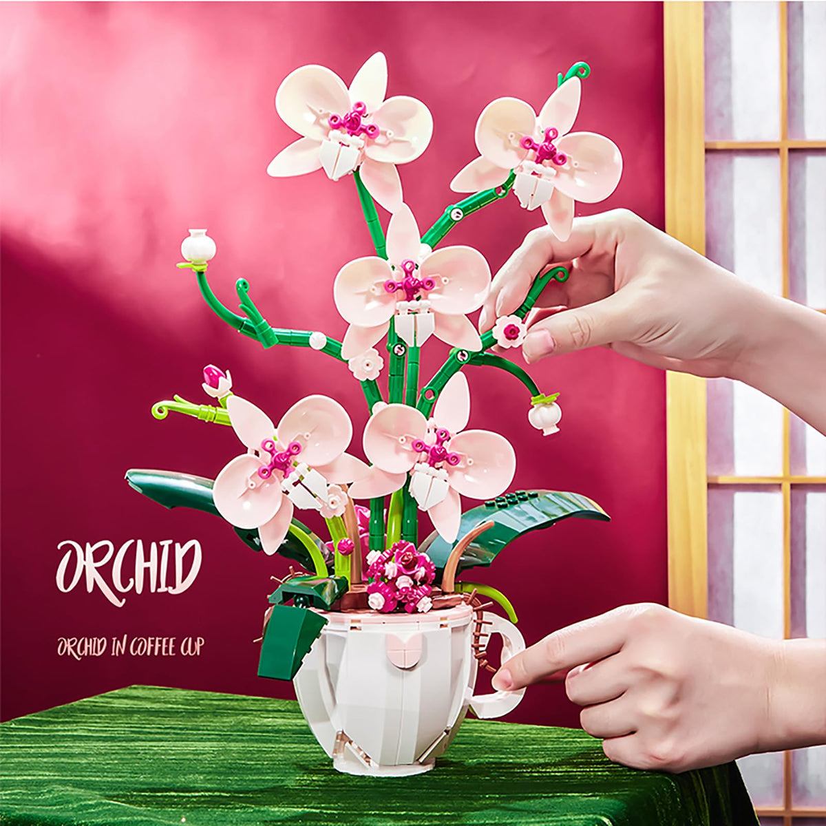 iixeal coffee cup orchid assembly kit ready for home or office display