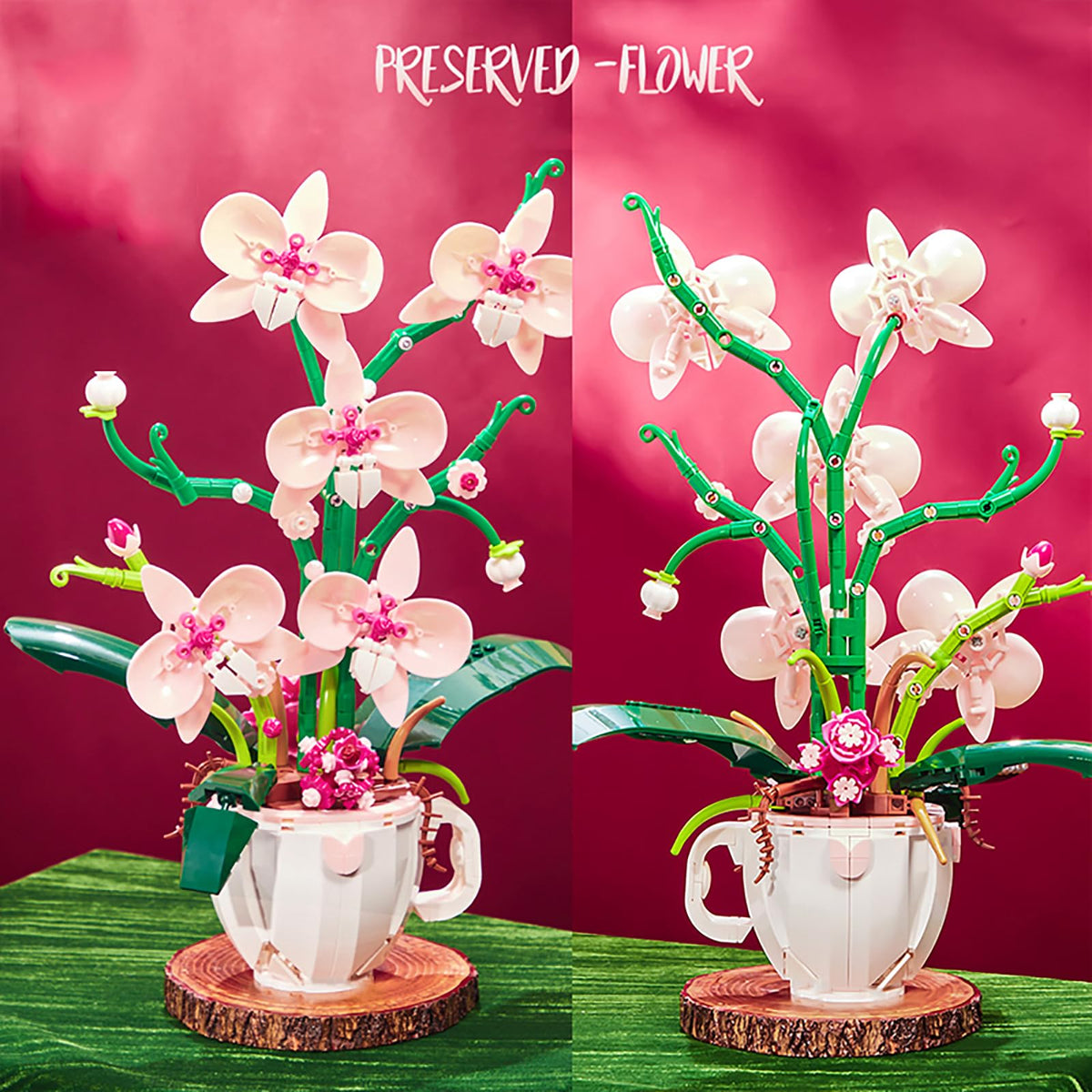 iixeal orchid botanical collection 567pcs displayed as a decorative sculpture