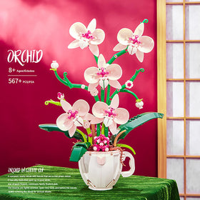 iixeal premium DIY kit designed for versatile creative projects