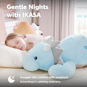 IKASA vacuum-sealed packaging makes this gift-ready for birthdays and celebrations