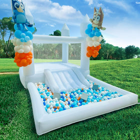 iLink-outer bounce house storage bag keeps gear organized after events