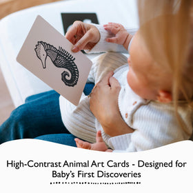 Wee Gallery Art Cards for Baby, Durable High Contrast Black and White Animal Flashcards for Newborns, Brain Development,Tummy Time Essentials for Infant and Toddler - Black and White Animals