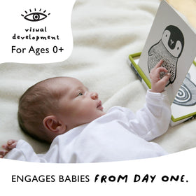 Wee Gallery Art Cards for Baby, Durable High Contrast Black and White Animal Flashcards for Newborns, Brain Development,Tummy Time Essentials for Infant and Toddler - Black and White Animals
