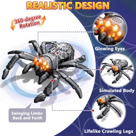 Infowush remote-control spider offers 360-degree spins for dynamic steering.