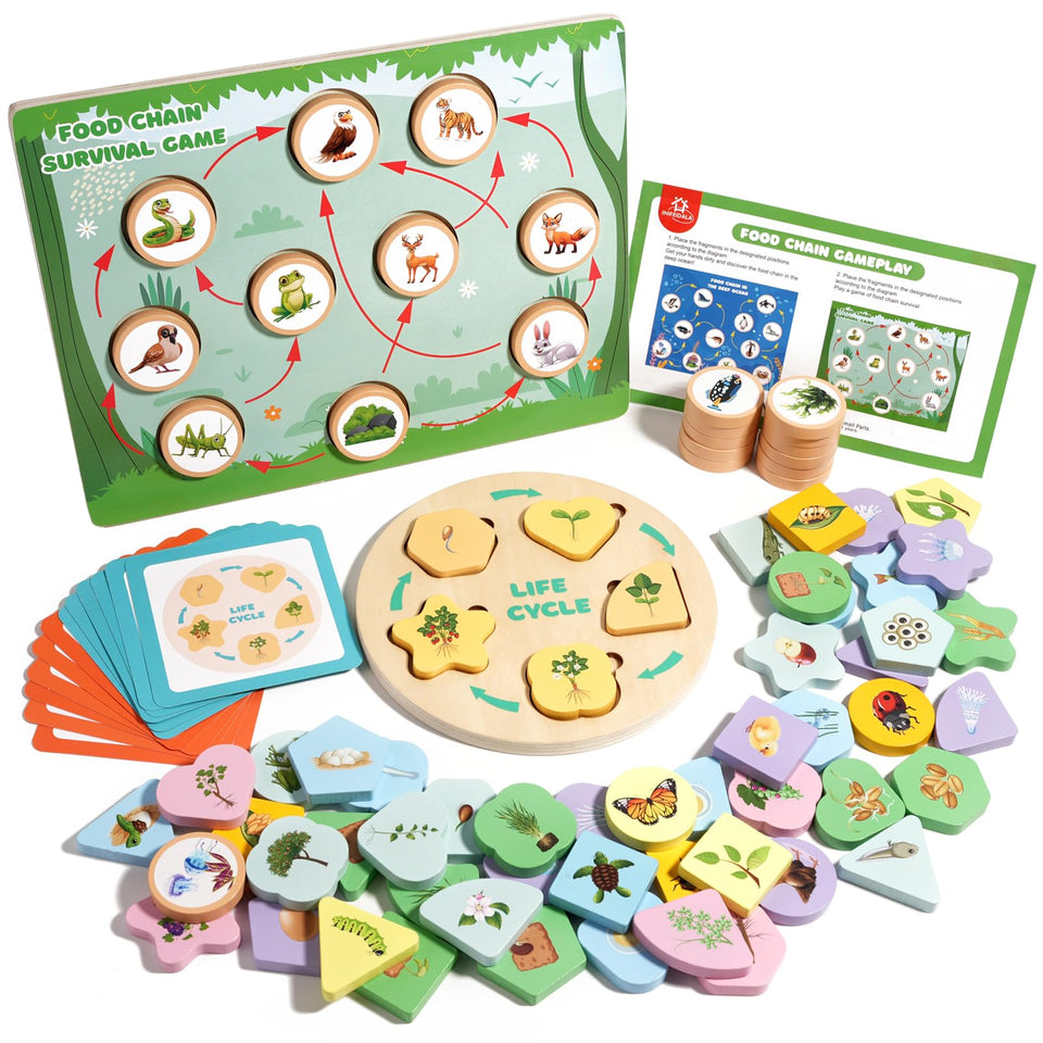 INIFEIDALA life cycle board double-sided for hands-on learning